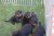 Offspring N